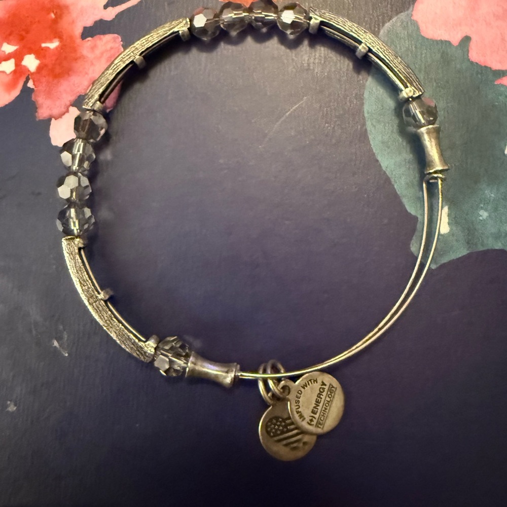 Alex and Ani Silver Bracelet with Charms
